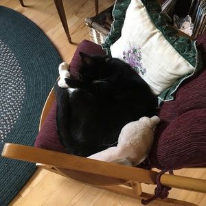 Meet your Posher, Janis